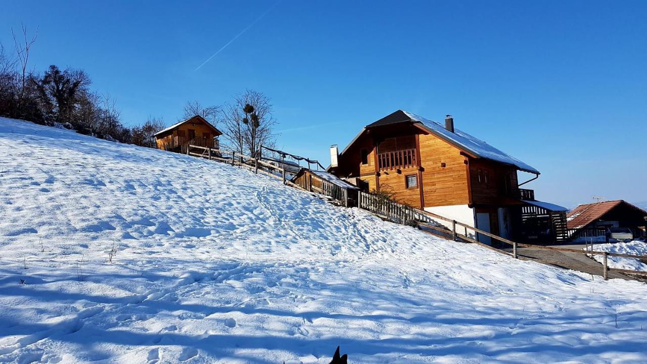 Gnezdo Vid-Ik Villa Catez ob Savi Exterior photo
