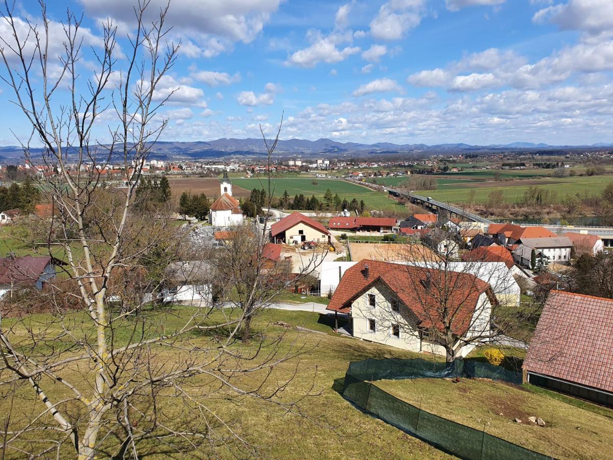 Gnezdo Vid-Ik Villa Catez ob Savi Exterior photo