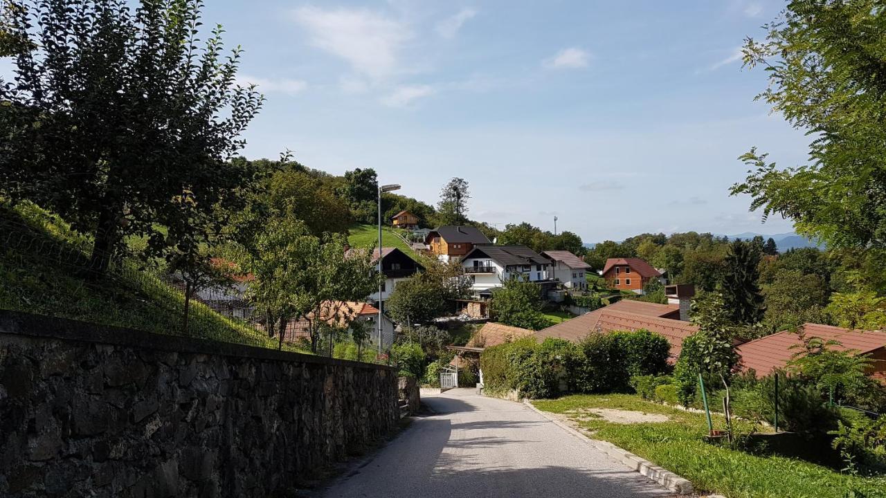 Gnezdo Vid-Ik Villa Catez ob Savi Exterior photo