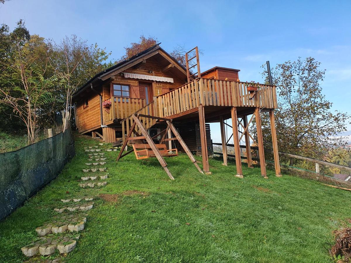 Gnezdo Vid-Ik Villa Catez ob Savi Exterior photo